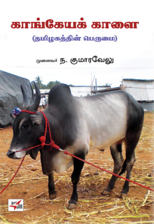 காங்கேயக் காளை தமிழகத்தின் பெருமை